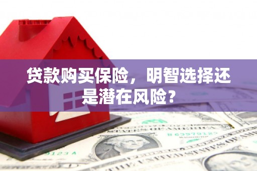 三江贷款购买保险，明智选择还是潜在风险？