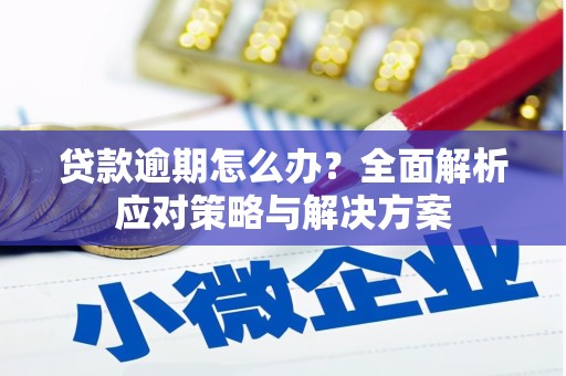 揭东贷款逾期怎么办？全面解析应对策略与解决方案