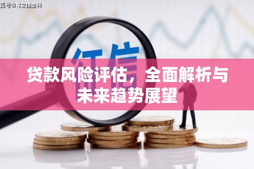 吉水贷款风险评估，全面解析与未来趋势展望