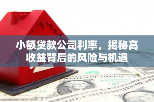 太湖小额贷款公司利率，揭秘高收益背后的风险与机遇