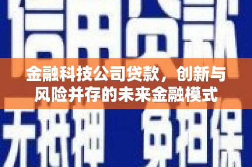 邵阳金融科技公司贷款，创新与风险并存的未来金融模式