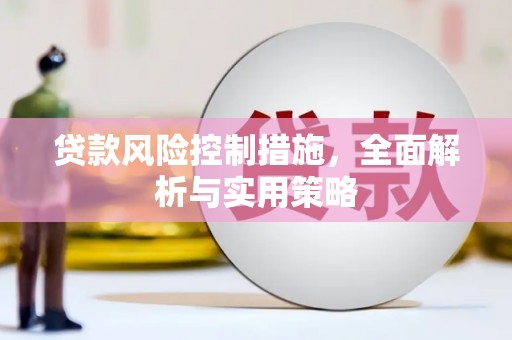 四川贷款风险控制措施，全面解析与实用策略