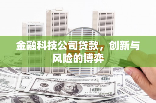 临县金融科技公司贷款，创新与风险的博弈
