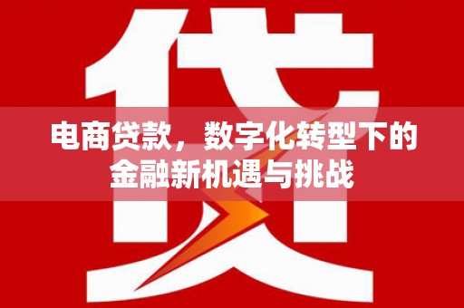 法库电商贷款，数字化转型下的金融新机遇与挑战