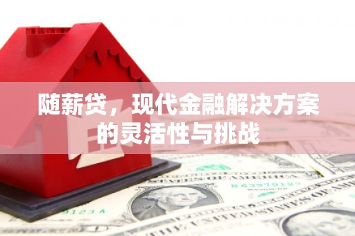 富县随薪贷，现代金融解决方案的灵活性与挑战