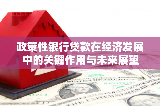 威宁政策性银行贷款在经济发展中的关键作用与未来展望