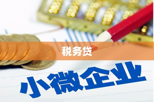 定安税务贷