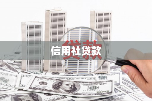 房县信用社贷款