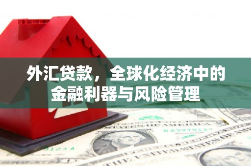 将军外汇贷款，全球化经济中的金融利器与风险管理