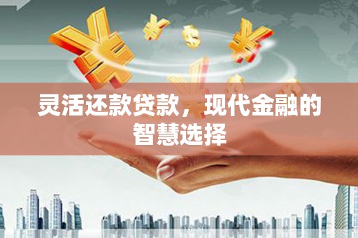 阳春灵活还款贷款，现代金融的智慧选择