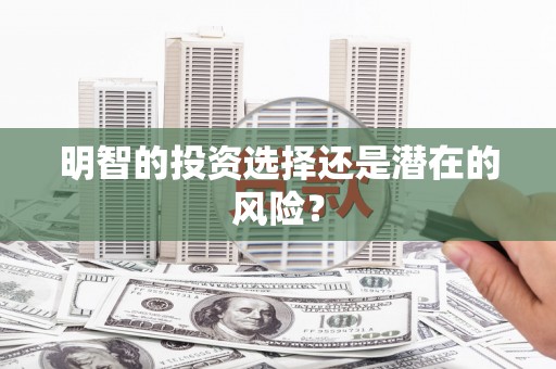 东丽明智的投资选择还是潜在的风险？