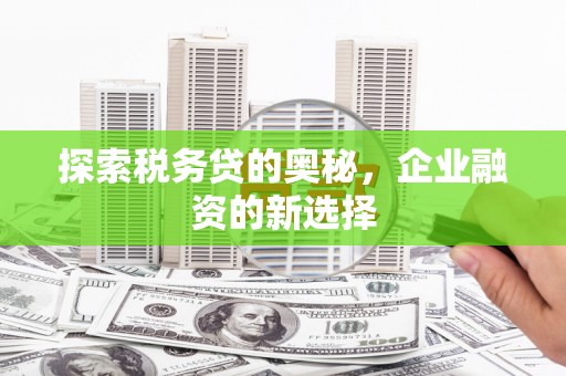 金溪探索税务贷的奥秘，企业融资的新选择