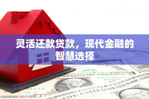 卑南灵活还款贷款，现代金融的智慧选择