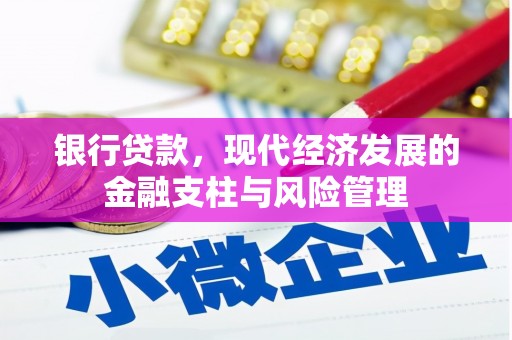 赫山银行贷款，现代经济发展的金融支柱与风险管理
