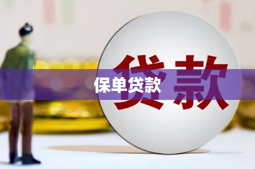 上林保单贷款