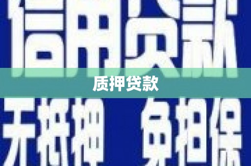 龙山质押贷款