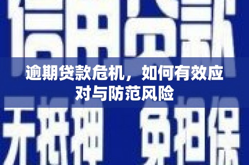 光明新区逾期贷款危机，如何有效应对与防范风险