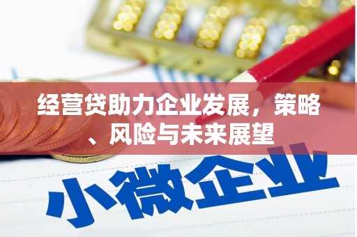 九原经营贷助力企业发展，策略、风险与未来展望