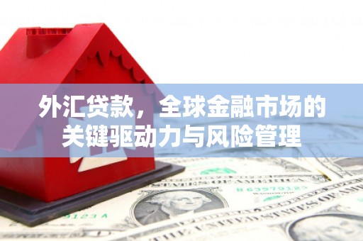 兴隆台外汇贷款，全球金融市场的关键驱动力与风险管理