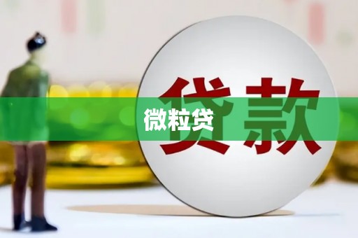 美姑微粒贷