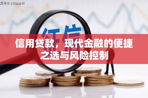 湖北信用贷款，现代金融的便捷之选与风险控制