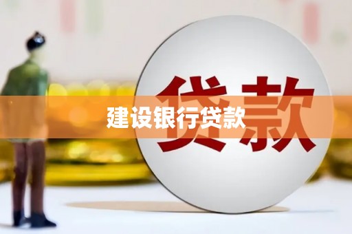 理县建设银行贷款
