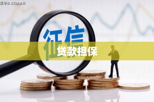 清丰贷款担保