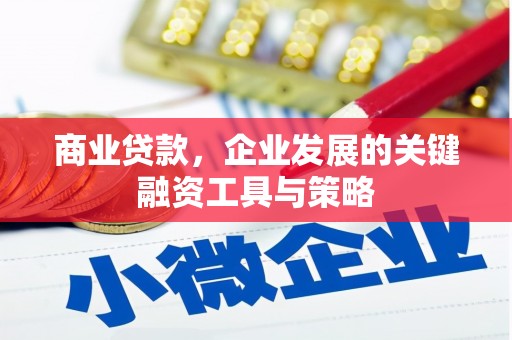 柯坪商业贷款，企业发展的关键融资工具与策略