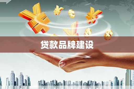 柳东贷款品牌建设
