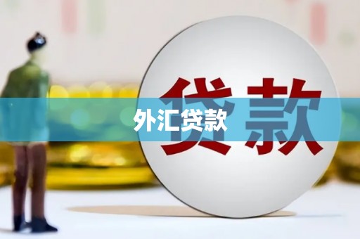 剑河外汇贷款