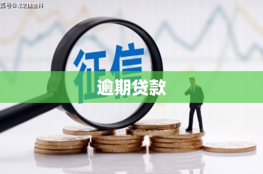 滦县逾期贷款