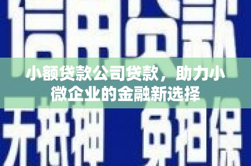 肥乡小额贷款公司贷款，助力小微企业的金融新选择