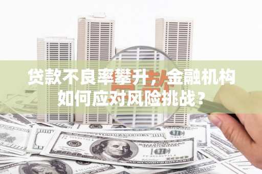 禅城贷款不良率攀升，金融机构如何应对风险挑战？