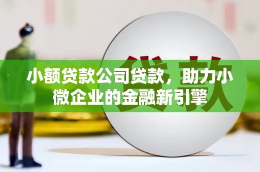 茂县小额贷款公司贷款，助力小微企业的金融新引擎