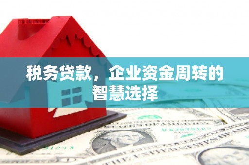 怀化税务贷款，企业资金周转的智慧选择