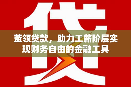 忠县蓝领贷款，助力工薪阶层实现财务自由的金融工具