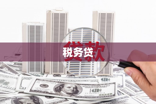 明山税务贷