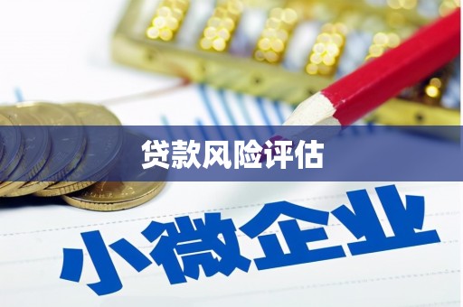 罗定贷款风险评估