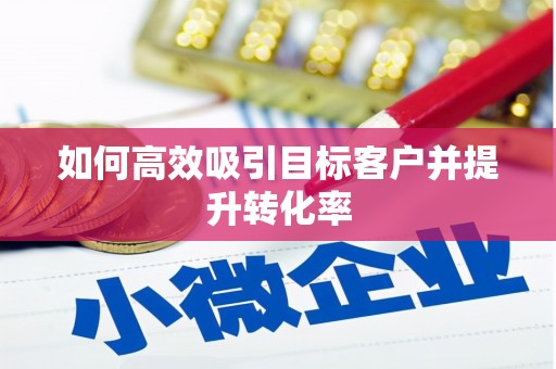 海丰如何高效吸引目标客户并提升转化率