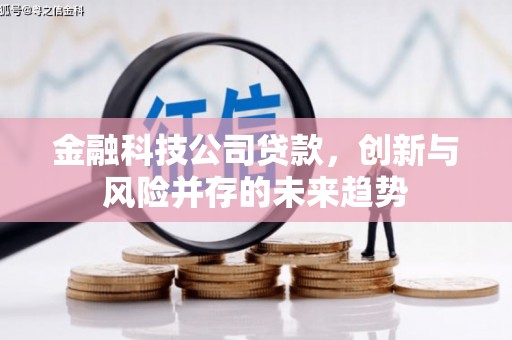 枋山金融科技公司贷款，创新与风险并存的未来趋势