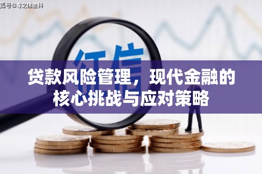新河贷款风险管理，现代金融的核心挑战与应对策略
