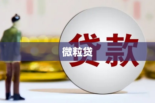 平顶山微粒贷