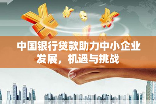 武功中国银行贷款助力中小企业发展，机遇与挑战
