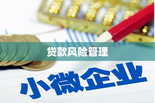 端州贷款风险管理