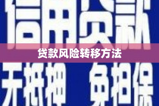 新蔡贷款风险转移方法
