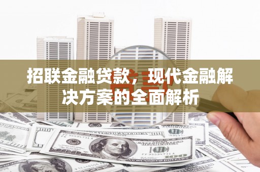 利通招联金融贷款，现代金融解决方案的全面解析