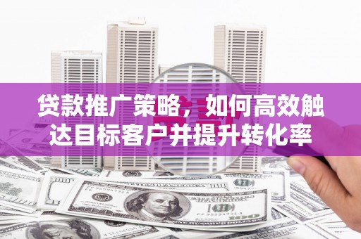 乐亭贷款推广策略，如何高效触达目标客户并提升转化率