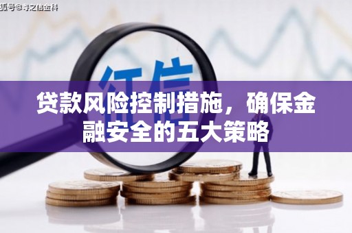 高密贷款风险控制措施，确保金融安全的五大策略