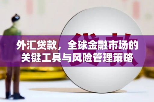 湟中外汇贷款，全球金融市场的关键工具与风险管理策略