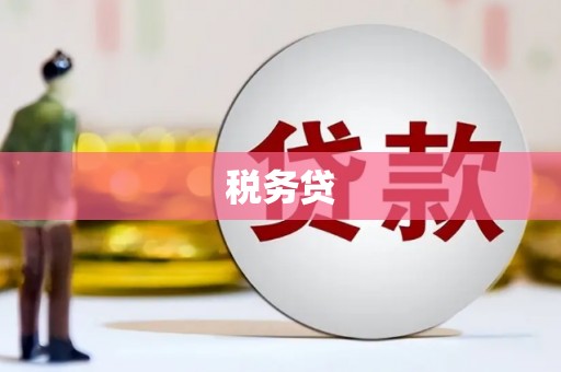 宝兴税务贷